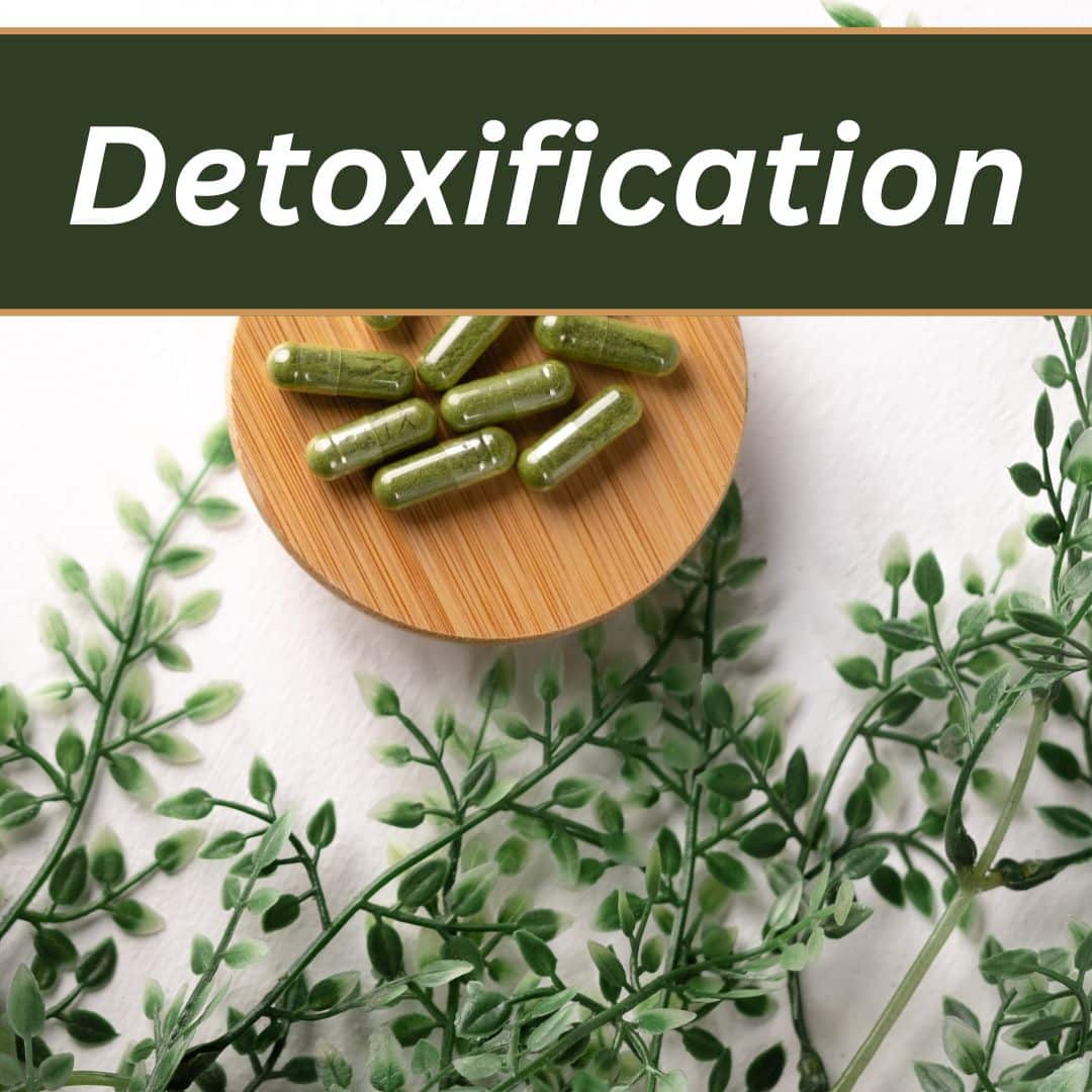 supplement protocols 5
